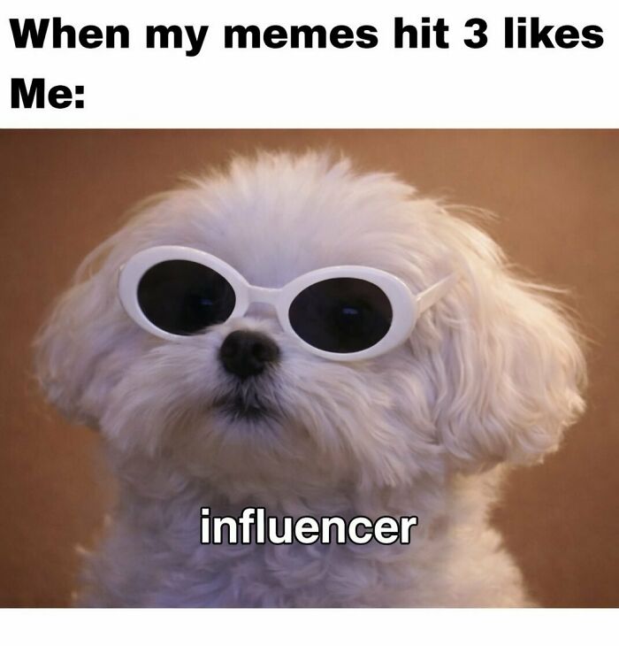Wait, These Memes Actually Nailed It! 50+ Jokes That Hit Different