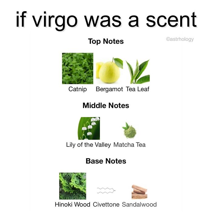 115 Astrology Memes That Are Shockingly On Point (And Hilarious)