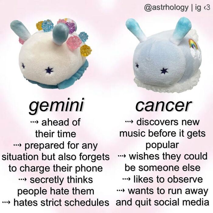 115 Astrology Memes That Are Shockingly On Point (And Hilarious)