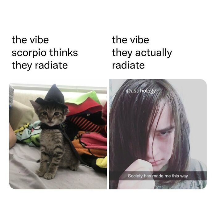 115 Astrology Memes That Are Shockingly On Point (And Hilarious)