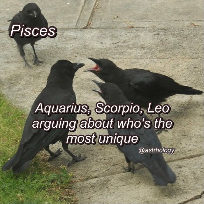115 Astrology Memes That Are Shockingly On Point (And Hilarious)
