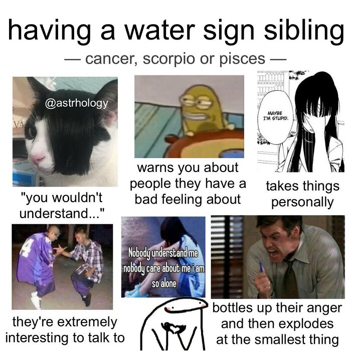 115 Astrology Memes That Are Shockingly On Point (And Hilarious)