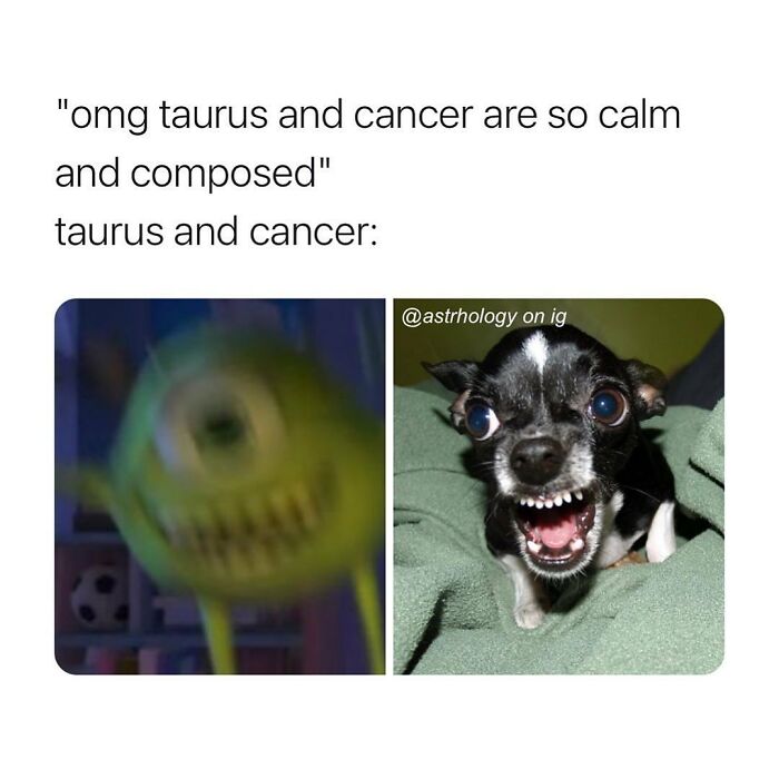 115 Astrology Memes That Are Shockingly On Point (And Hilarious)