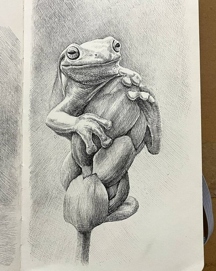 40 Mind-Blowing Sketchbook Drawings That Turn Simple Lines Into Dreamy Worlds