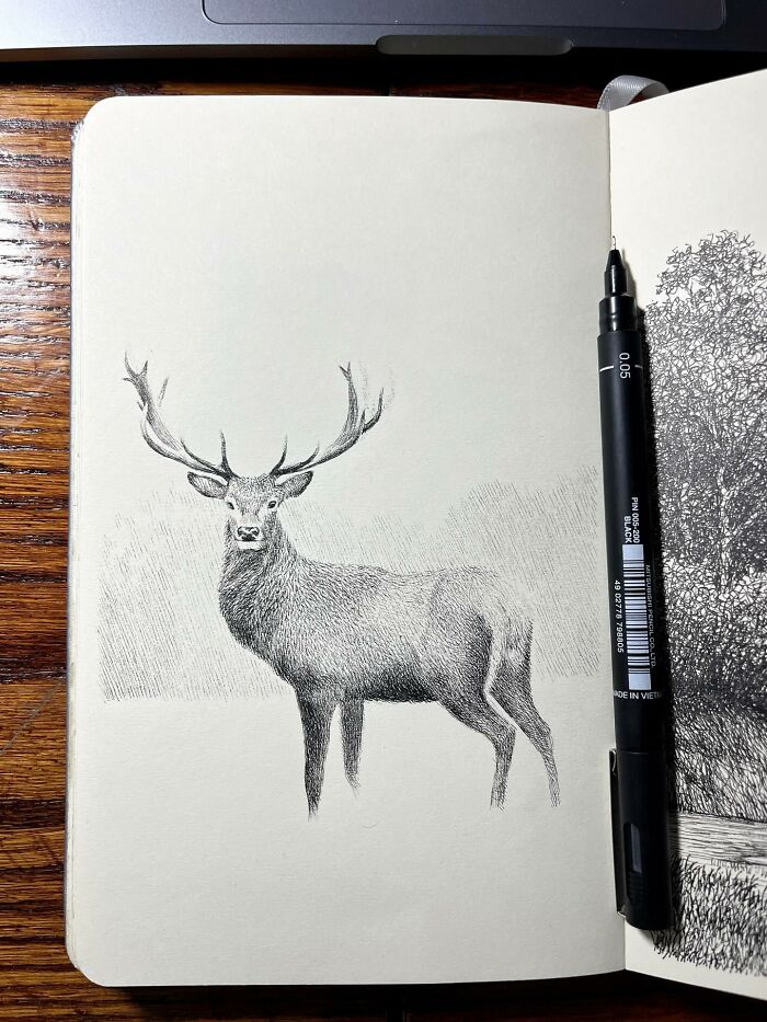 40 Mind-Blowing Sketchbook Drawings That Turn Simple Lines Into Dreamy Worlds