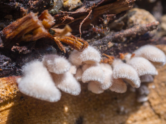 35 Crazy-True Science Facts That'll Make You Go "Wait, What?!"