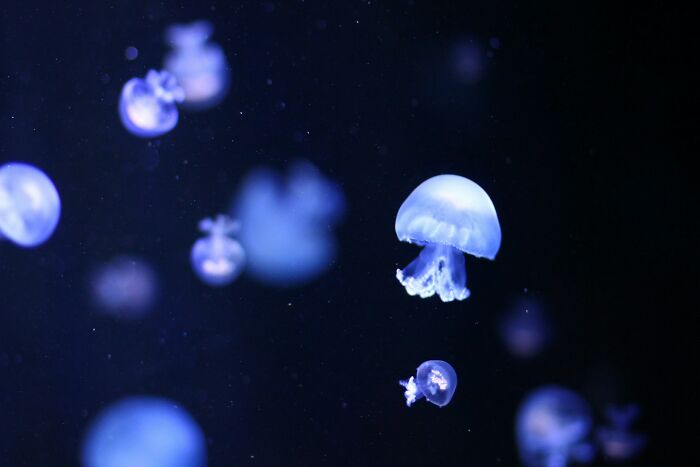 35 Crazy-True Science Facts That'll Make You Go "Wait, What?!"