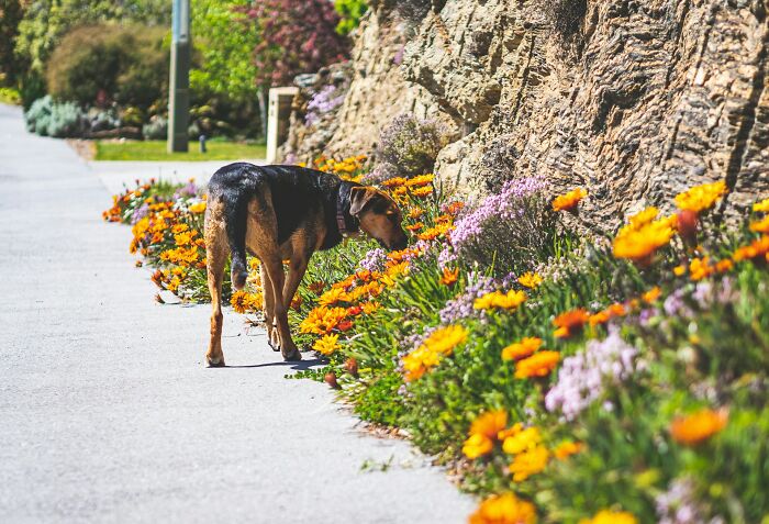Experts Spill The Coolest Truths About Life That Totally Surprise You