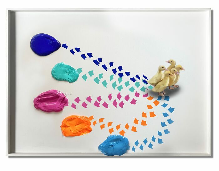 A Happy Palette