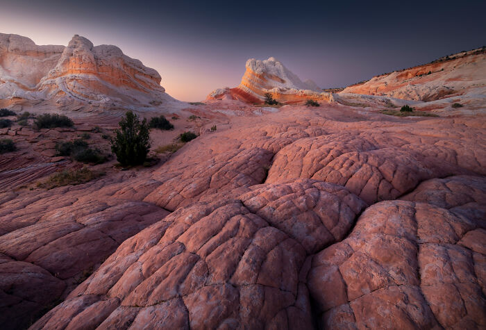 Whoa! 41 Nature Pics That Will Make Your Jaw Drop