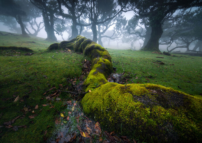 Whoa! 41 Nature Pics That Will Make Your Jaw Drop