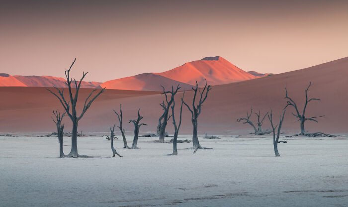 Whoa! 41 Nature Pics That Will Make Your Jaw Drop