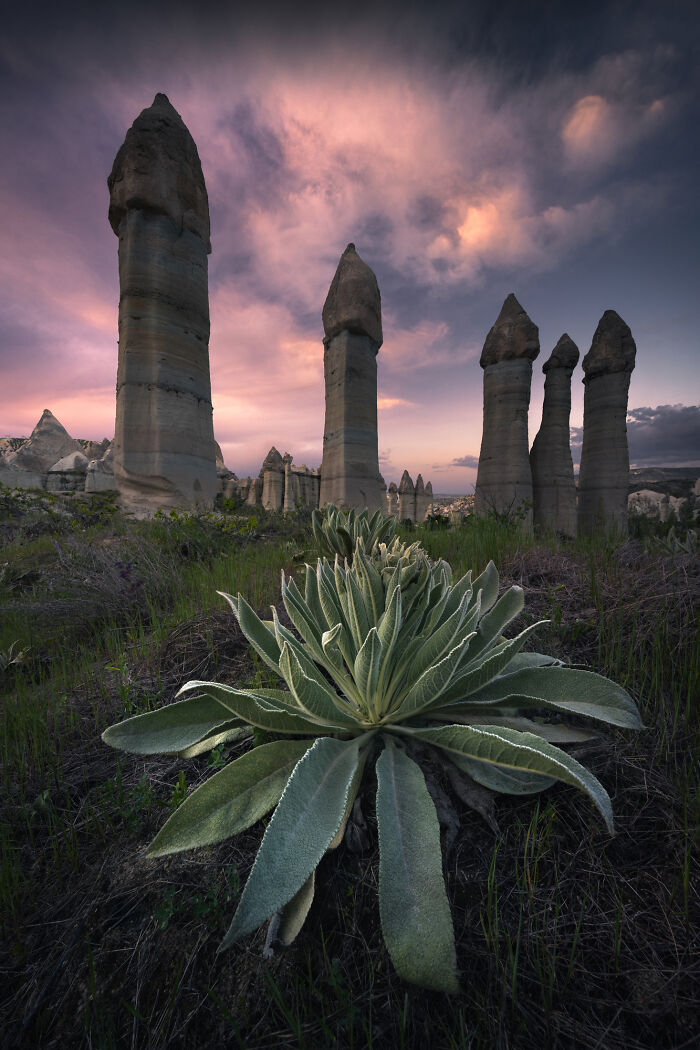 Whoa! 41 Nature Pics That Will Make Your Jaw Drop
