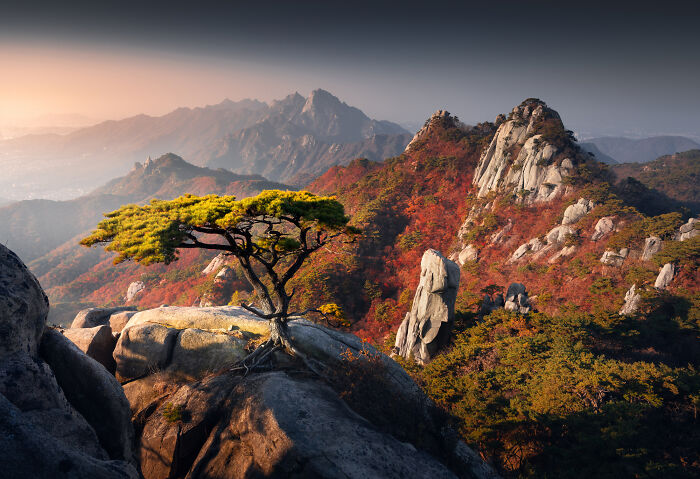 Whoa! 41 Nature Pics That Will Make Your Jaw Drop