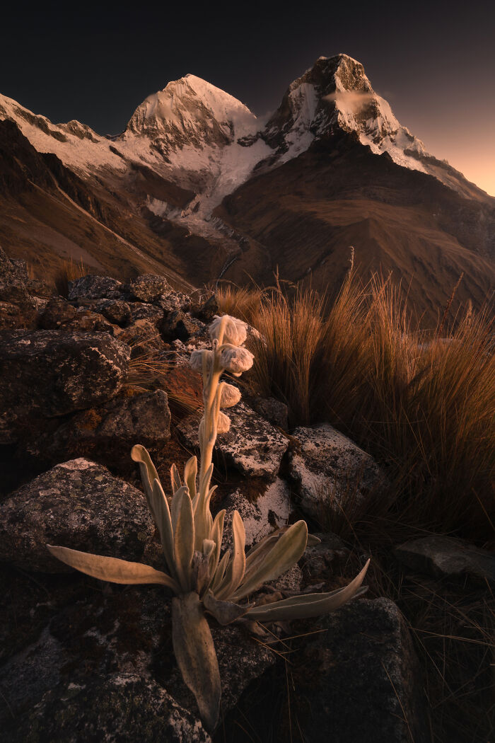 Whoa! 41 Nature Pics That Will Make Your Jaw Drop