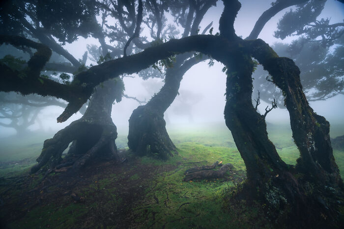 Whoa! 41 Nature Pics That Will Make Your Jaw Drop