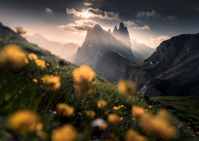 Whoa! 41 Nature Pics That Will Make Your Jaw Drop
