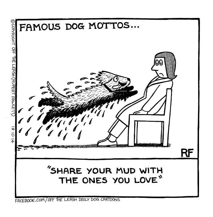 Dogs’ Life Motto: Live Loud, Nap Hard