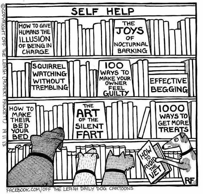 Self-Help Books for Dogs? Sign Me Up!
