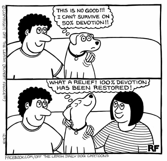 All About Dog Devotion (Warning: Heart Melting)