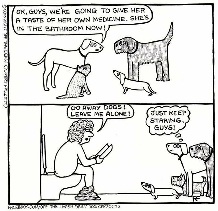 Serving Her Some Payback… Dog Style!