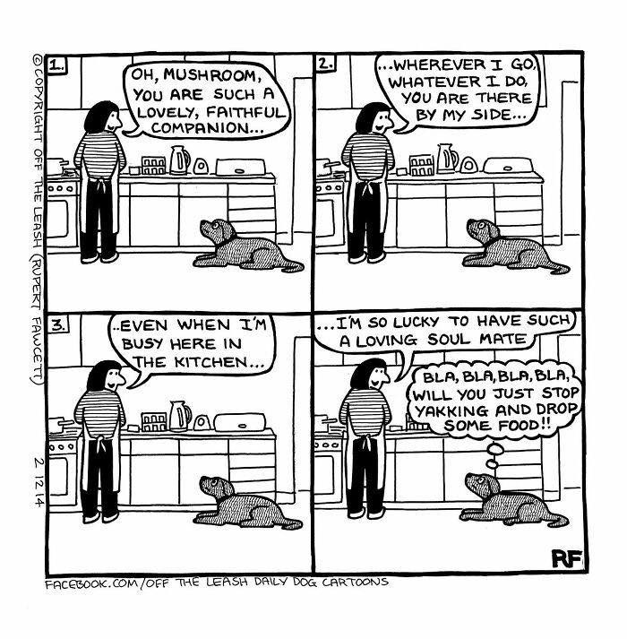 What Should The Caption Be? Dog Logic Says No.
