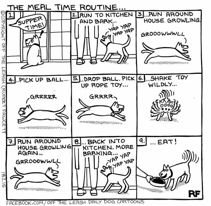 The Meal Time Routine: Chaos & Drool Edition