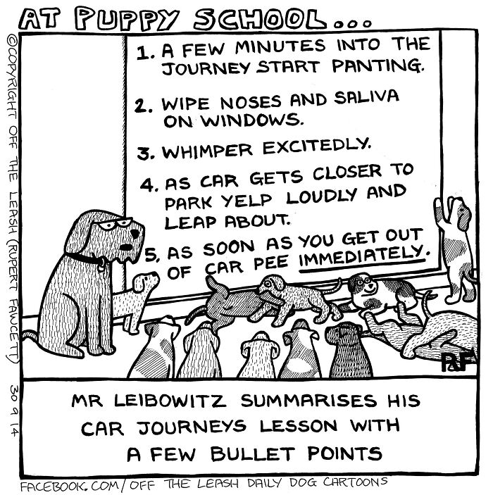 At Puppy School: Planning The Ultimate Car Escape