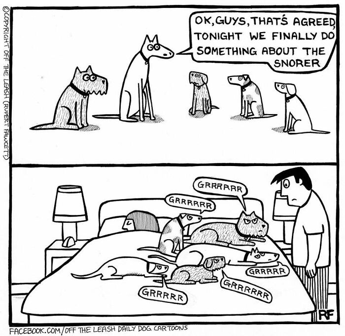 Action Needed… Just Kidding, Napping Now