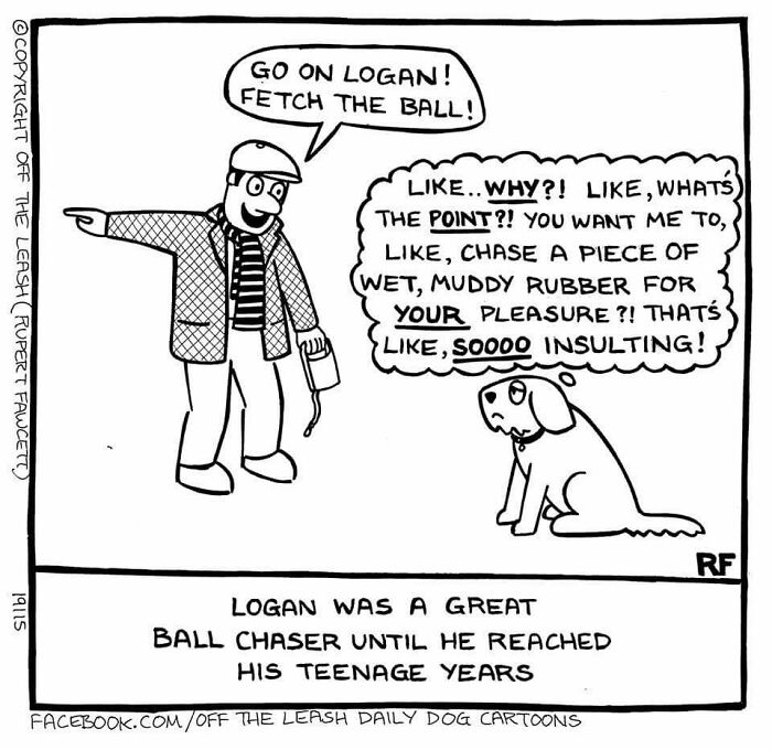 Go On Logan, Fetch The Ball... If You Want To