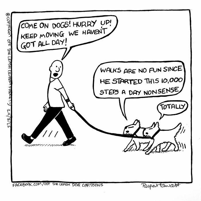 We Haven’t Got All Day! But Dogs Don’t Care.