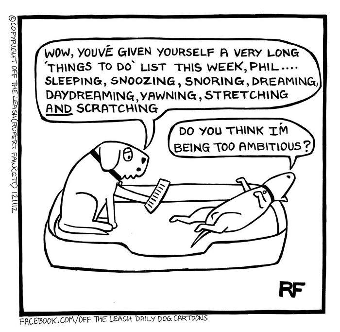 How’s Your Week Going? Dogs Say: Nap More!