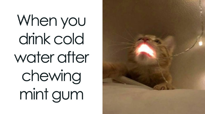 60 Hilariously Relatable Memes That Totally Get You