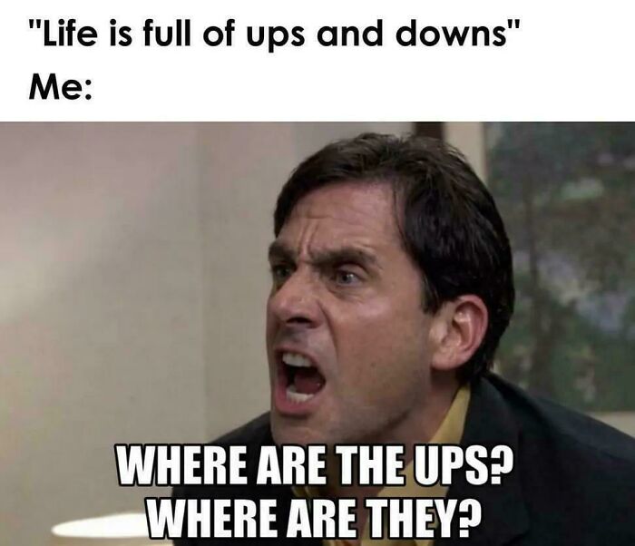 Where’d They Go?