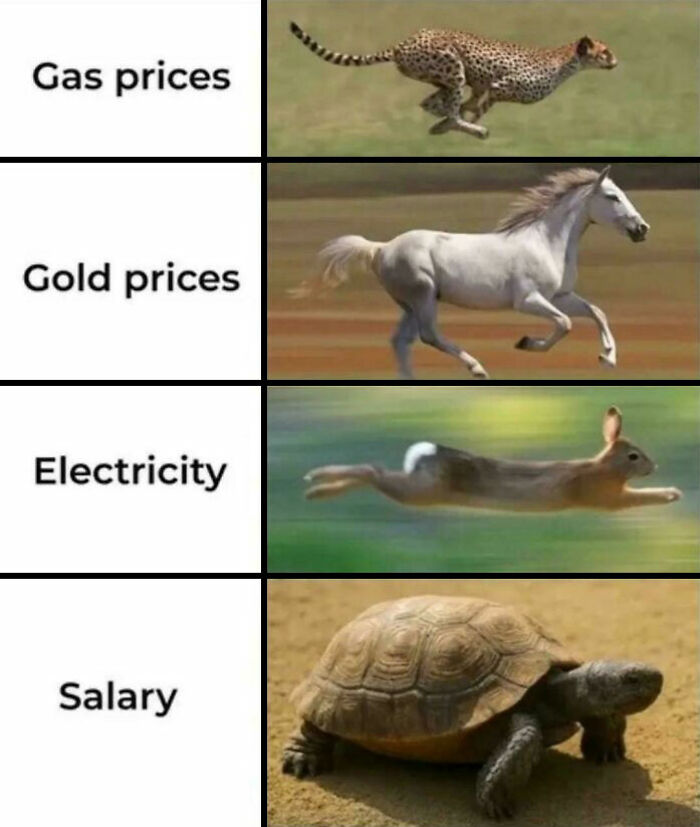 Today’s Economy in a Nutshell