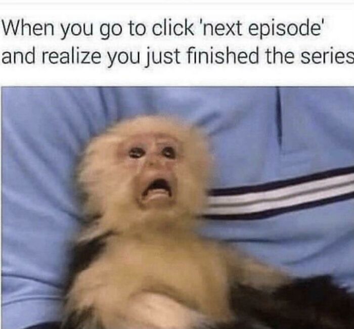We Definitely Need More Episodes!