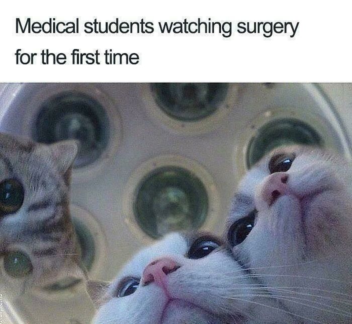 That First Day Energy!
