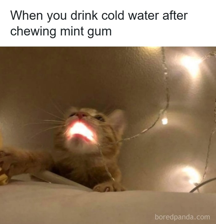 60 Hilariously Relatable Memes That Totally Get You