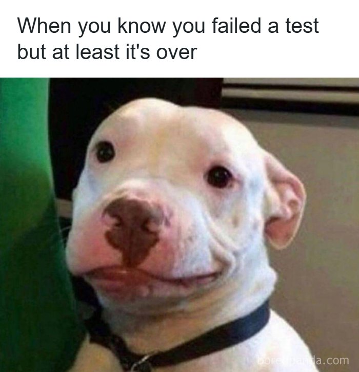 60 Hilariously Relatable Memes That Totally Get You