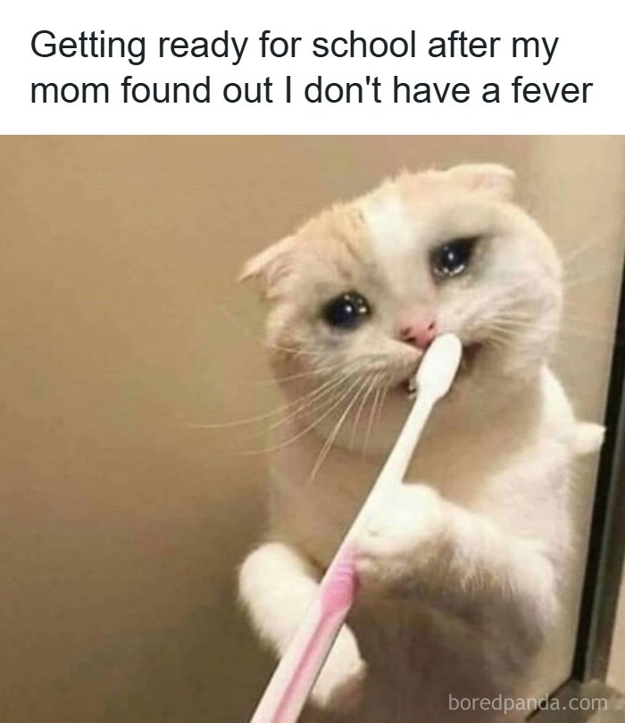 60 Hilariously Relatable Memes That Totally Get You