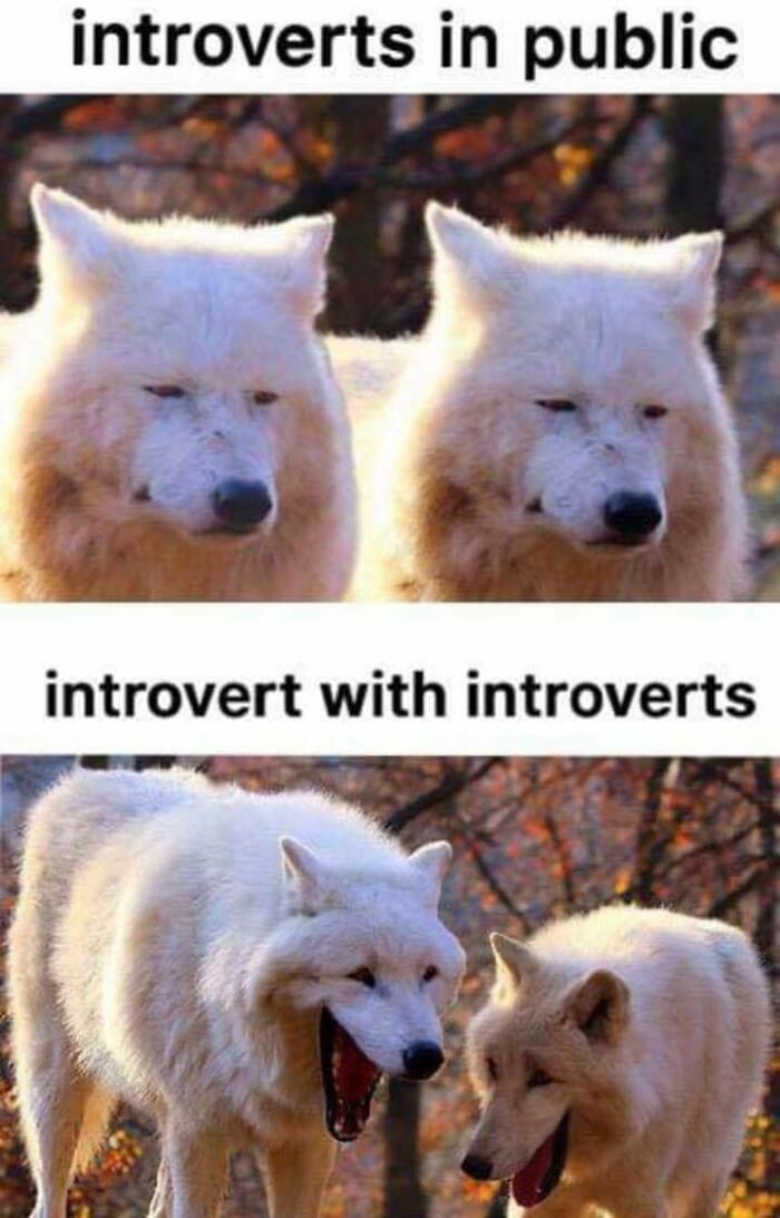 60 Hilariously Relatable Memes That Totally Get You