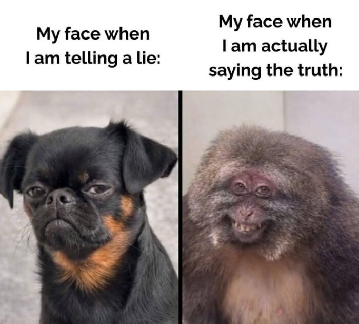 60 Hilariously Relatable Memes That Totally Get You