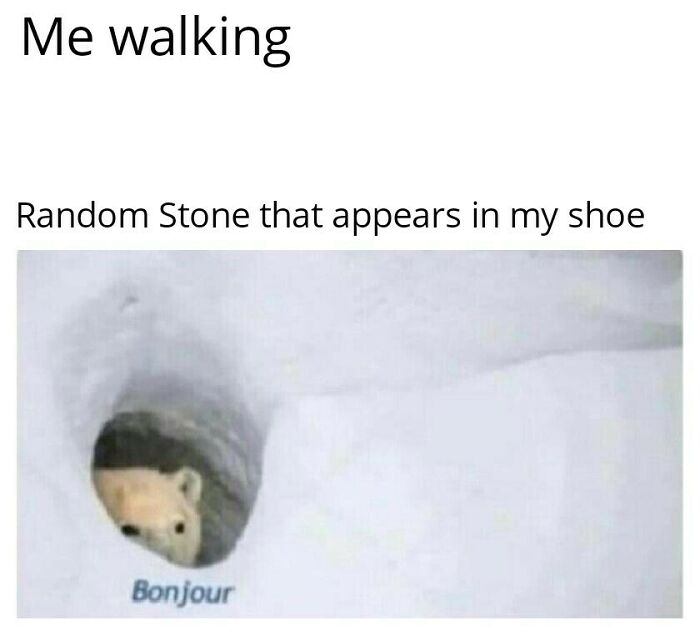 60 Hilariously Relatable Memes That Totally Get You