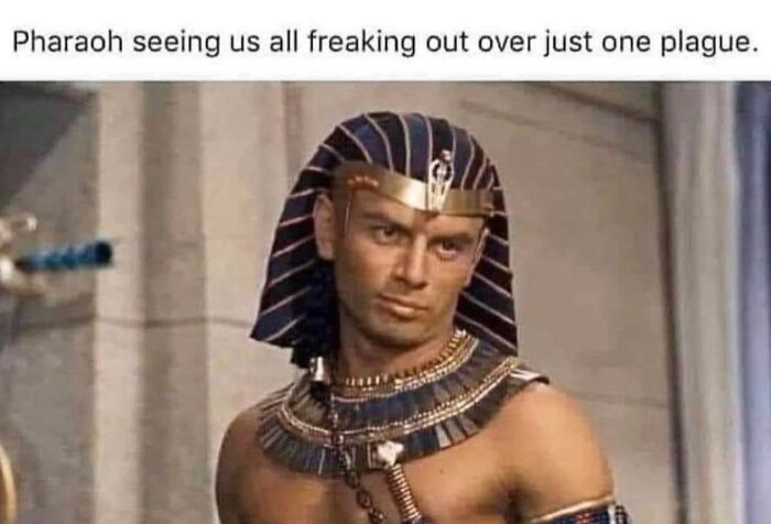 These History Memes Are So Funny They Should Be in Your School Books!