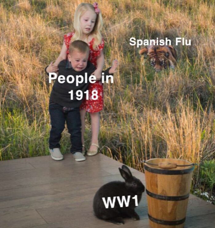 These History Memes Are So Funny They Should Be in Your School Books!