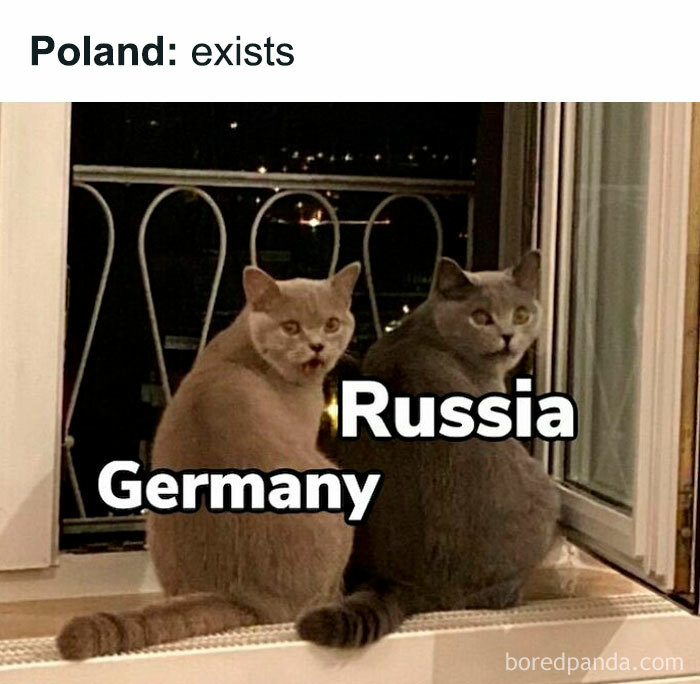 These History Memes Are So Funny They Should Be in Your School Books!