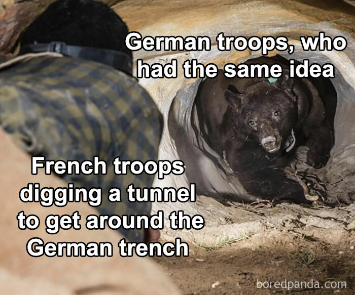 These History Memes Are So Funny They Should Be in Your School Books!