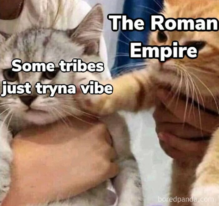These History Memes Are So Funny They Should Be in Your School Books!