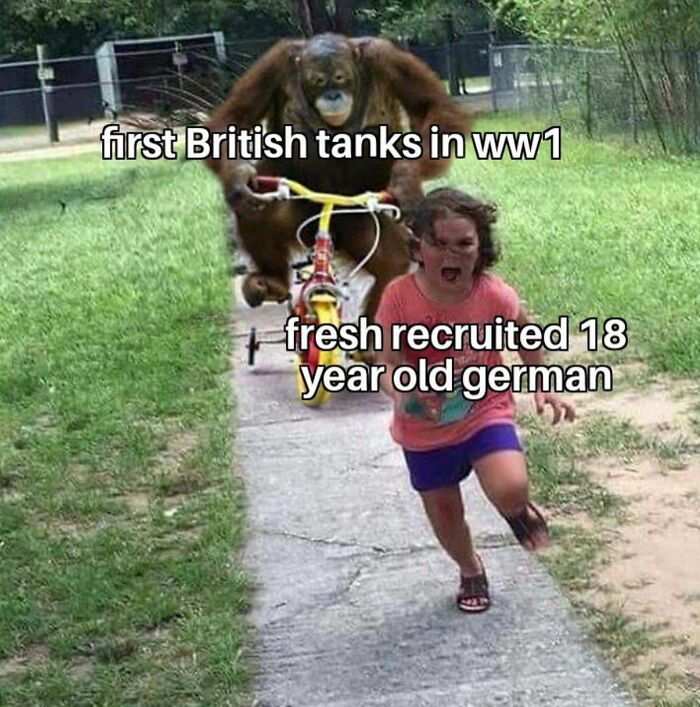These History Memes Are So Funny They Should Be in Your School Books!