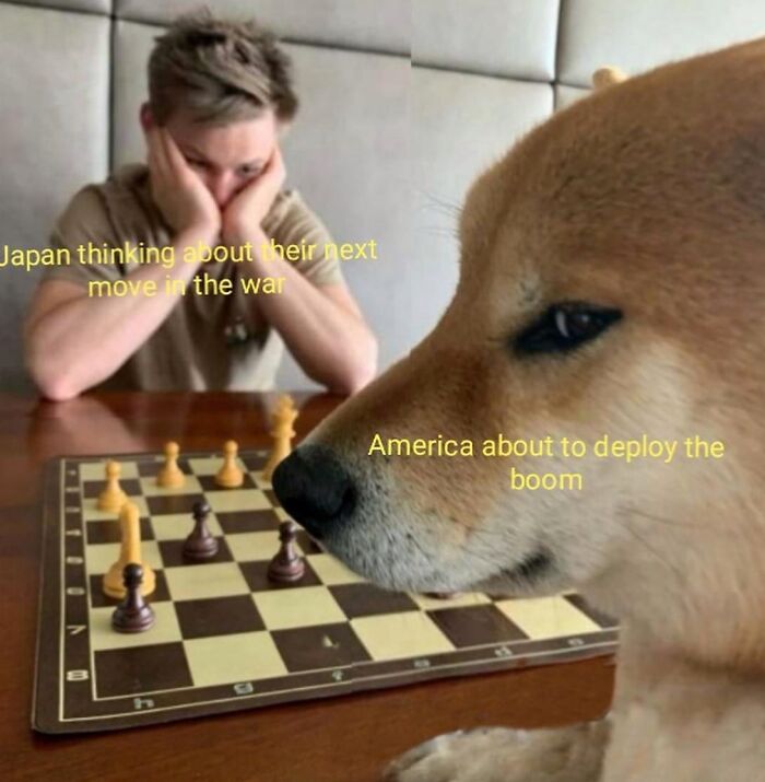 These History Memes Are So Funny They Should Be in Your School Books!